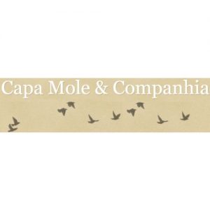 Capa Mole & Companhia