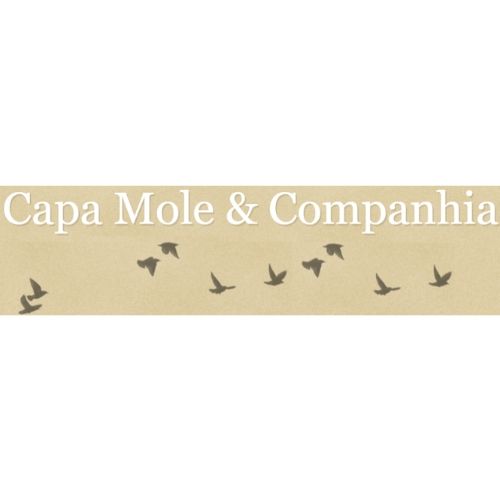 Capa Mole & Companhia