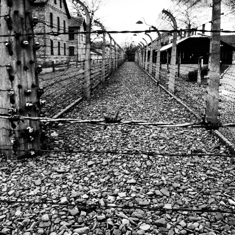 Auschwitz