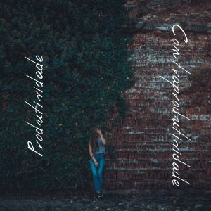 Produtividade-contraprodutividade