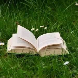 Long book in grass